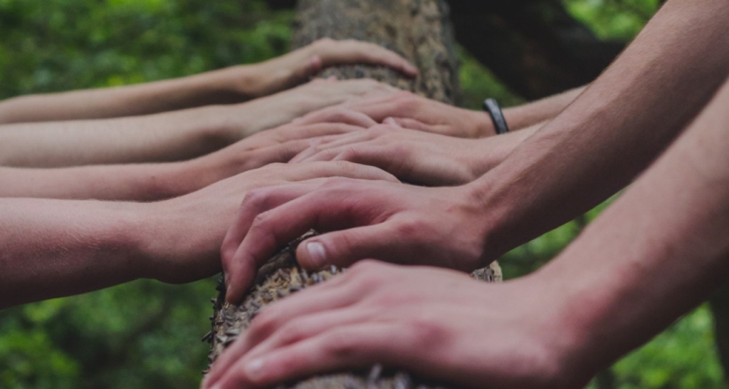 Hands on a tree trunk