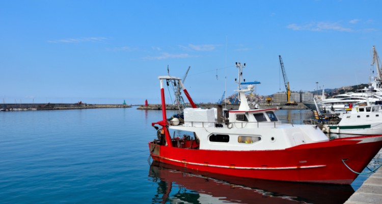 Un barco en un puerto