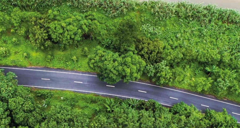 A car on the road surrounded by greenery